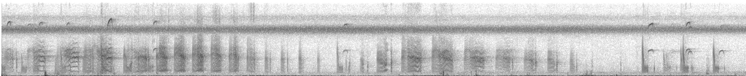 Blue-billed White-Tern - ML625348374