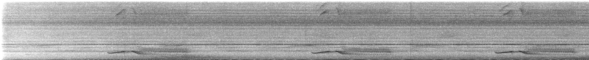 Large Wren-Babbler - ML625350859