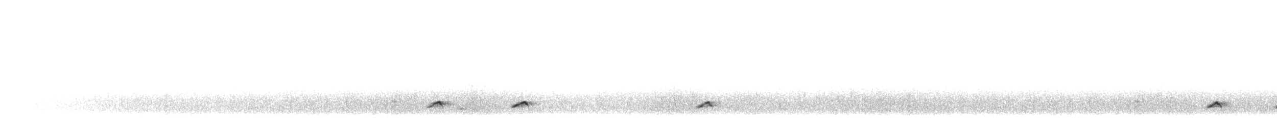 Common Ringed Plover - ML625355193