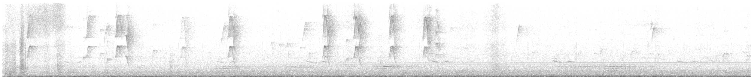 brunhettespettmeis - ML625357684