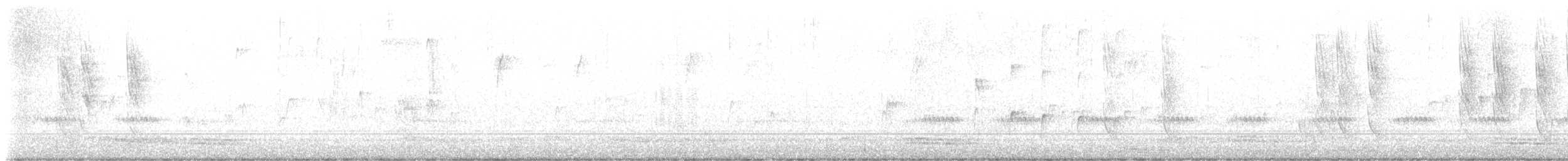 brunhettespettmeis - ML625357685