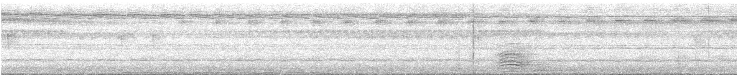 zoborožec indický - ML625357699