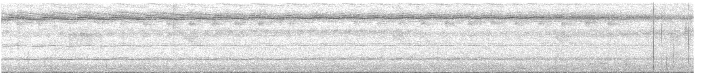 Malabar Barbeti - ML625357740