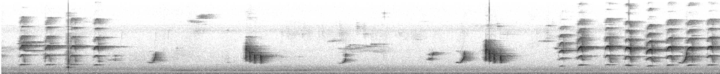 Gila Woodpecker - ML625363115