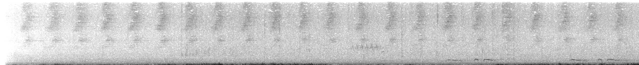 pigeon/dove sp. - ML625364472