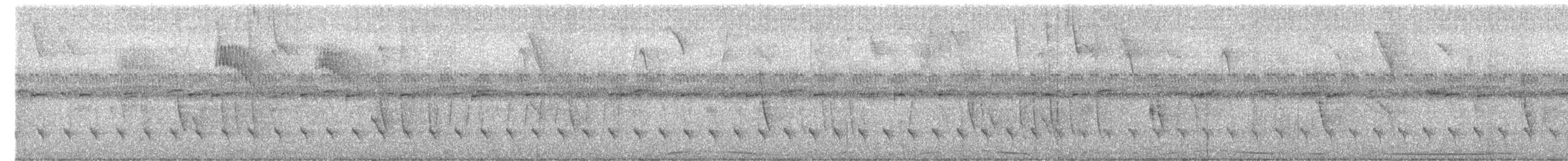 ズキンヒメアリサザイ - ML625368169
