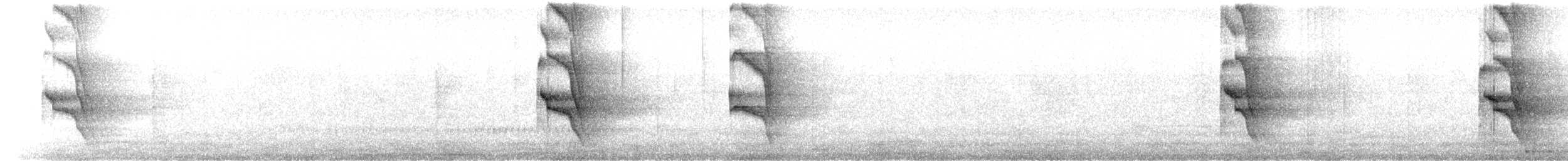 Sosyal Tiran [texensis grubu] - ML625374136