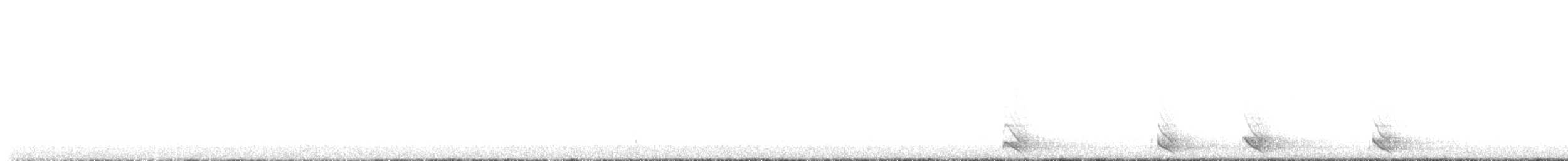 Northern Saw-whet Owl - ML625381387