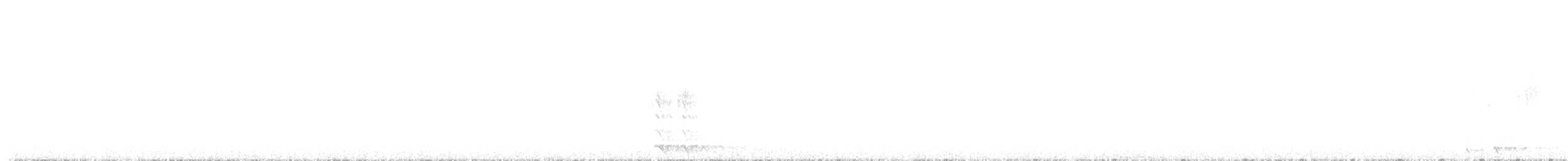 Northern Saw-whet Owl - ML625381501