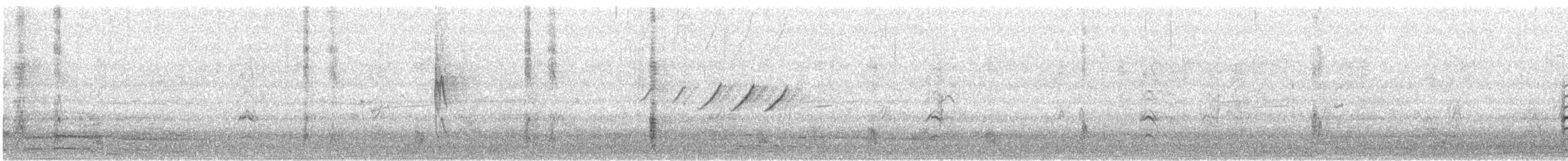 Amerika Küçük Batağanı - ML625384681