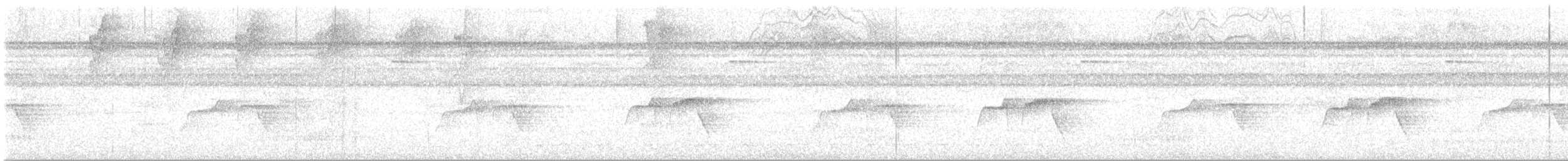 Dot-backed Antbird - ML625385731
