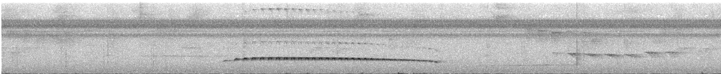 Batarito Coronipunteado - ML625397393