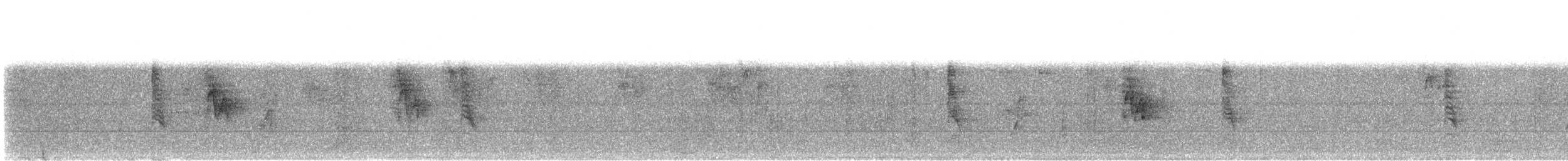 House Sparrow - ML625398443