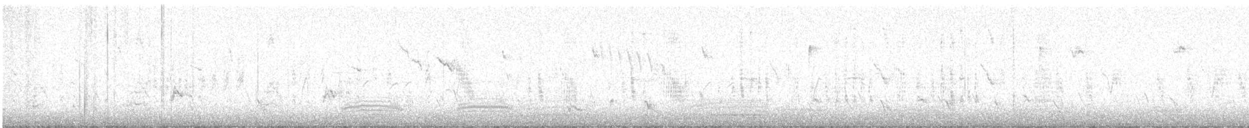 stær - ML625399793