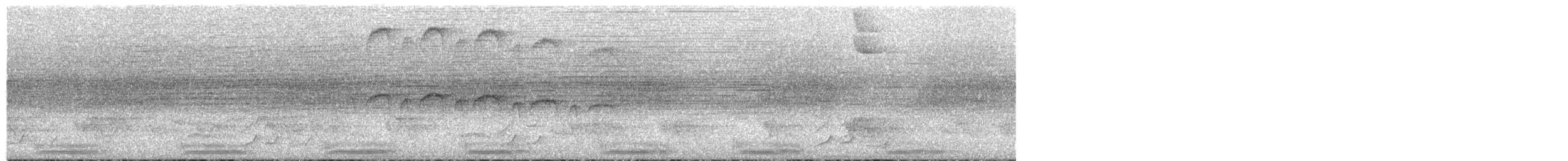 フイリコチュウハシ - ML625400016