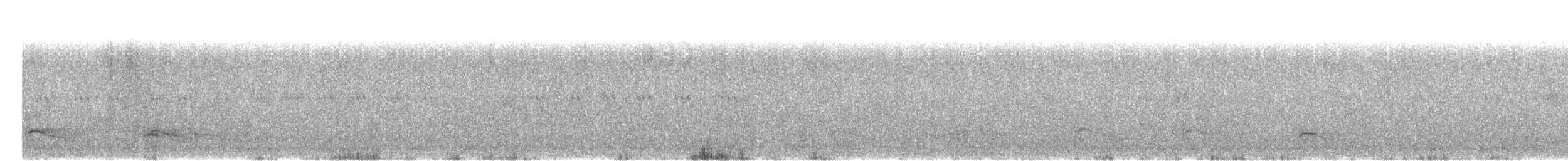 sjakalvåk - ML625401566