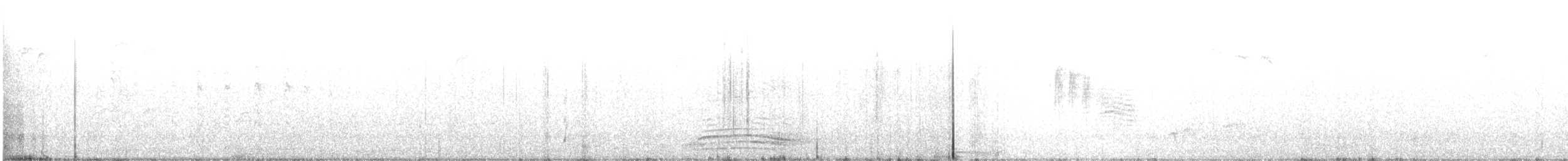 amerikakråke - ML625405775