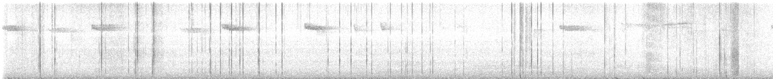 Brown Creeper - ML625406712