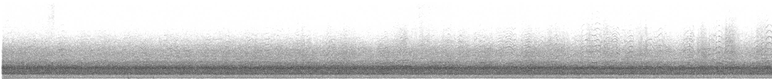 Snow Goose - ML625429433