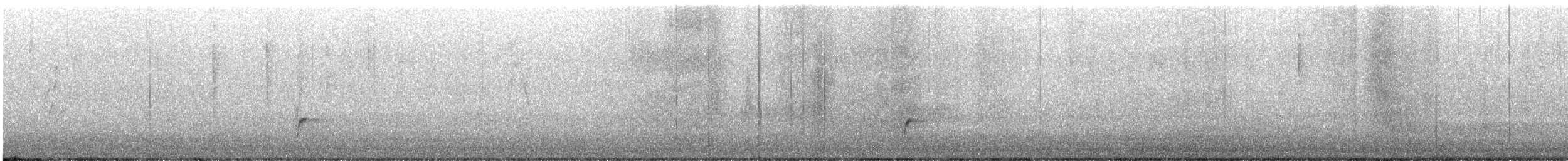 Swainson's Thrush - ML625429679