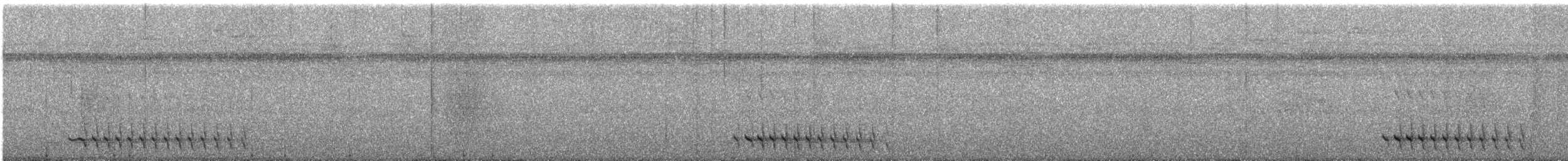 キバラモリジアリドリ - ML625429834