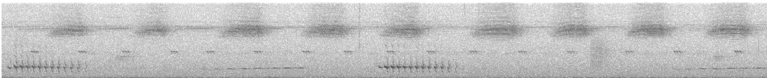 キバラモリジアリドリ - ML625429835