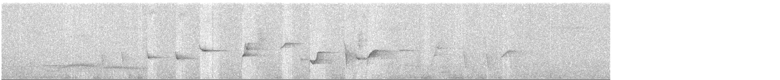 Malaysian Pied-Fantail - ML625431614