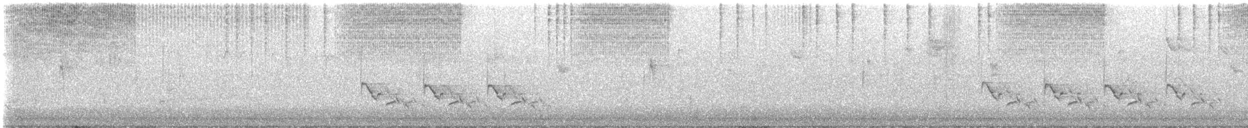 Troglodyte de Caroline - ML625446271