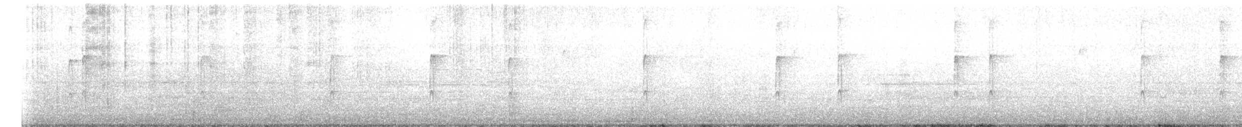 Pico Pubescente - ML625448743