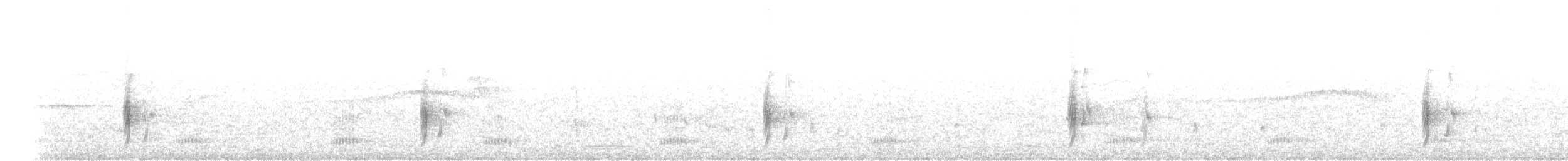 Variegated Flycatcher - ML625449670