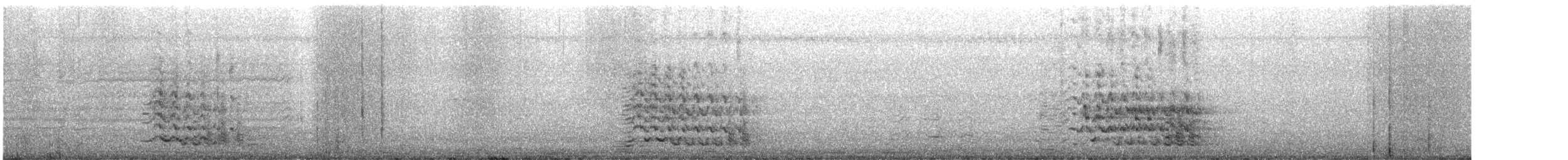 Larus sp. - ML625451862
