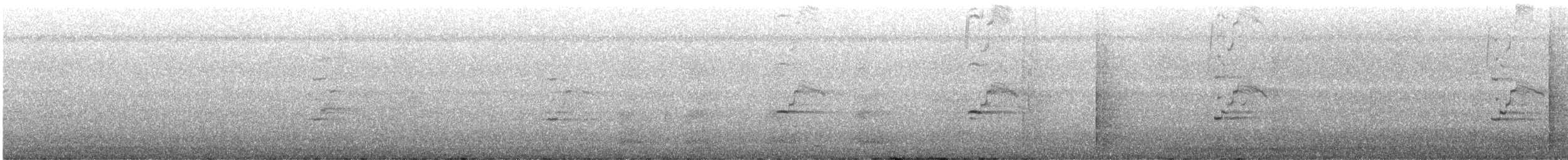 Larus sp. - ML625451883