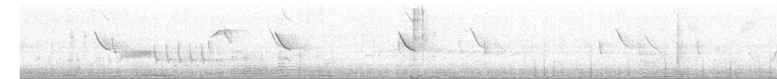 Tropical Kingbird - ML625460830