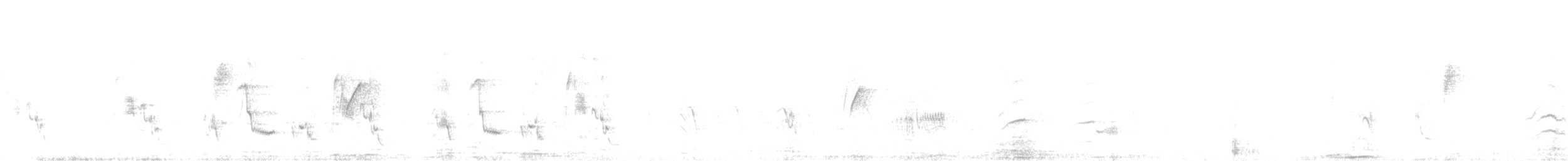 Тольт бор тодол - ML625465450