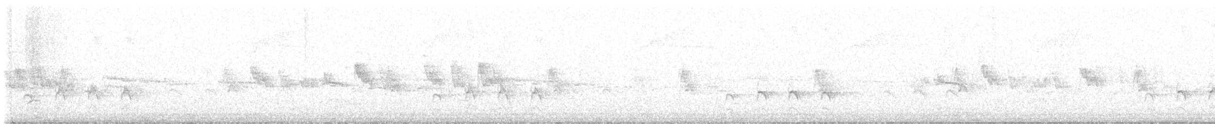 Sacred Kingfisher - ML625465513