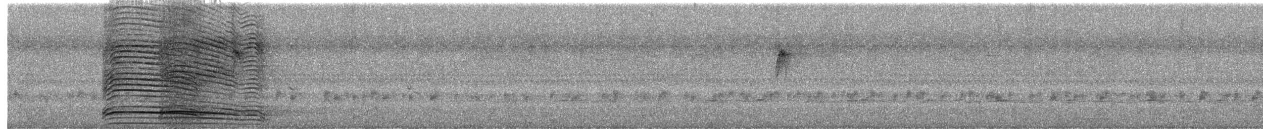 Hadada Ibis - ML625468730