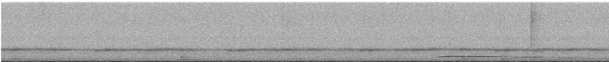 Common Potoo - ML625474062