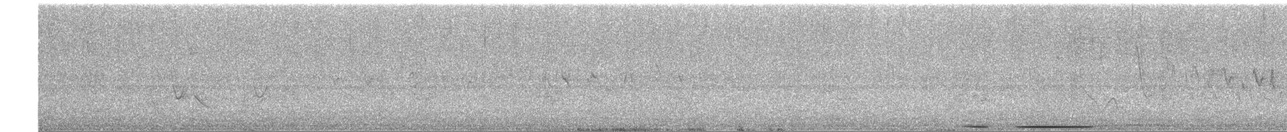 White-tipped Dove - ML625476982