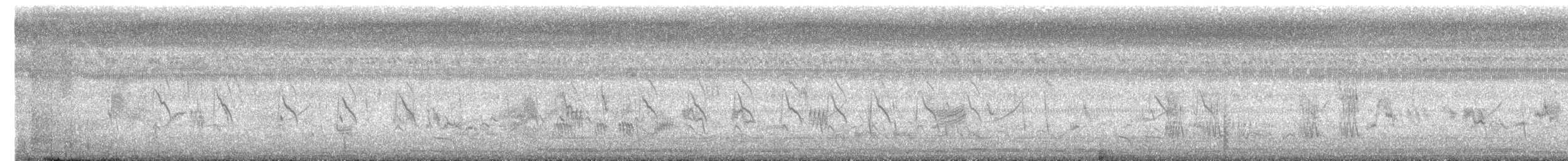 Black-breasted Weaver - ML625479577