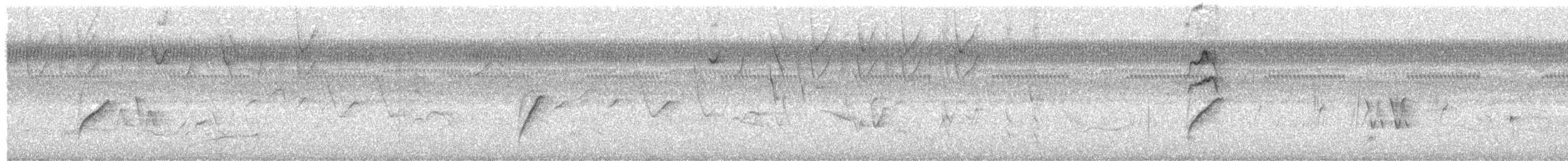 Moucherolle à longs brins - ML625487662