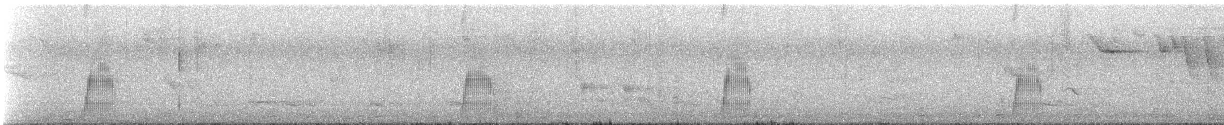 Croaking Ground Dove - ML625489030