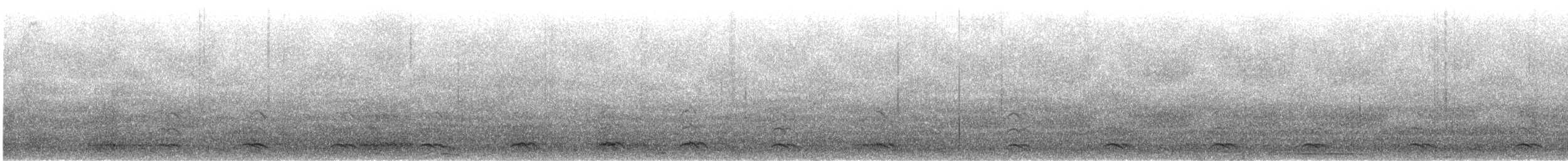 Western Gull - ML625489412