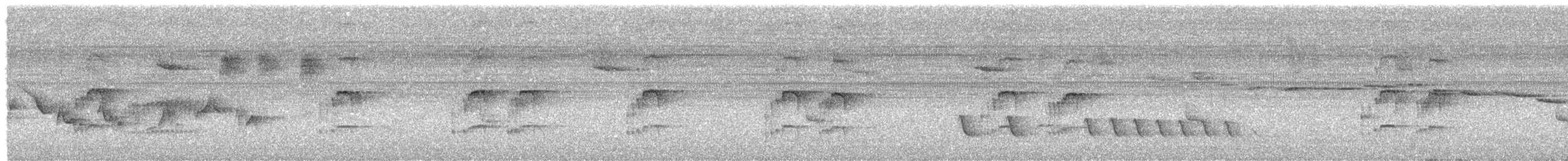 Serra do Mar Tyrant-Manakin - ML625489542