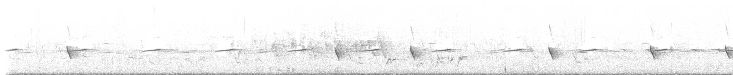 Souimanga améthyste - ML625494973