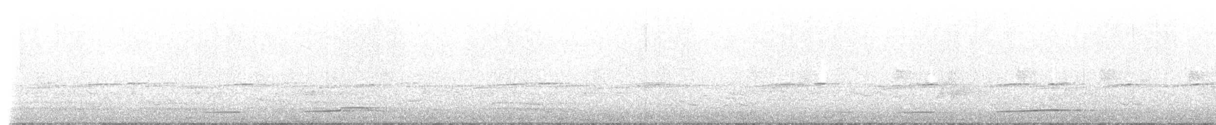 クロカッコウ - ML625495047