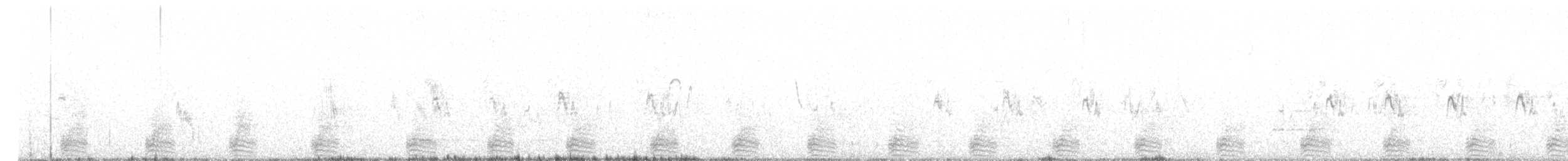 Cinnamon Teal - ML625509398