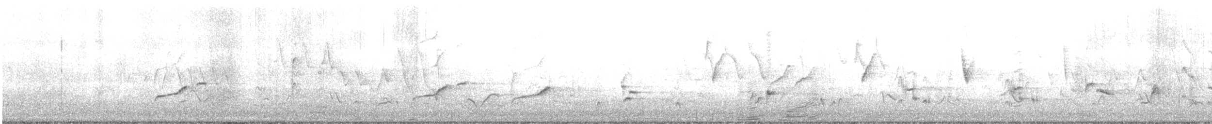 Gray Catbird - ML625513724