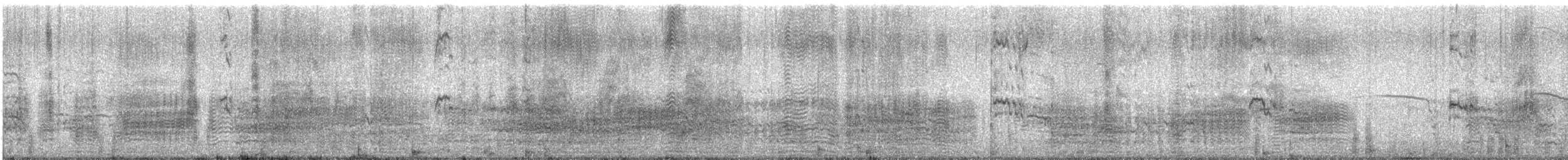 クビワカモメ - ML625515493