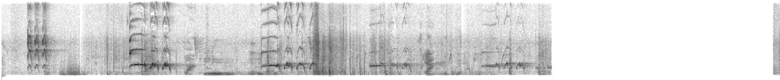 Pied Cuckoo - ML625517747