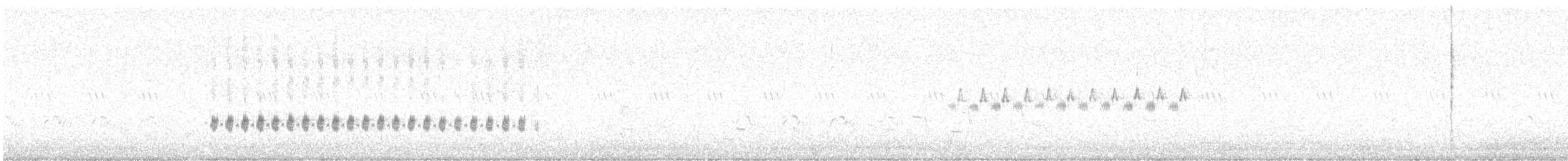 Rock Wren - ML625525793